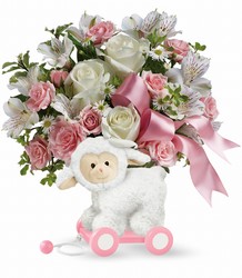 Teleflora's Sweet Little Lamb - Baby Pink from Weidig's Floral in Chardon, OH